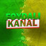Foydali Kanal