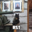 RST