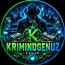 KRIMINOGEN | NISHONDAGI JINOYATLAR