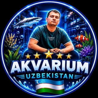 Akvarium_Uzbekistan🇺🇿 Khusniddin_Giyasov.