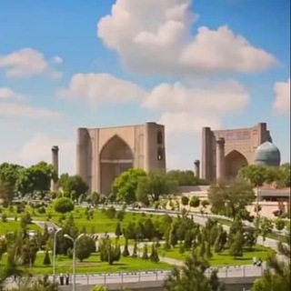 Samarqand yangiliklari | Zarnews.uz
