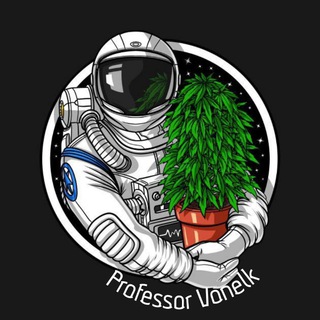 Professor Vonelk