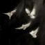 soulsyntax