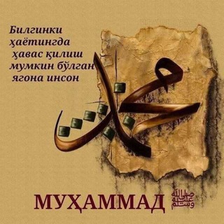 HAYOT TAFSILOTLARI