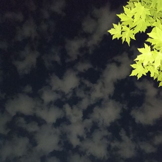Nw