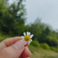 DIL