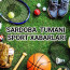 SARDOBA TUMANI SPORT XABARLARI