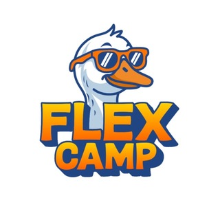 Flex camp Highlights