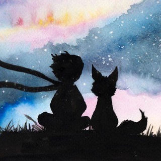 The little prince | blog