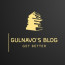 Gulnavo's blog