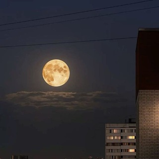 🌘
