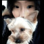 내 새끼 고양이!!!💞🐈‍⬛