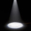 Spotlight