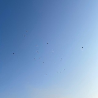 HoftsBlog 🫖