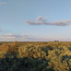 Baxtiyarova