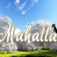 SHARQGULI MAHALLASI