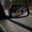 rainloverʼs | notes