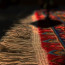 B | parallel olami |