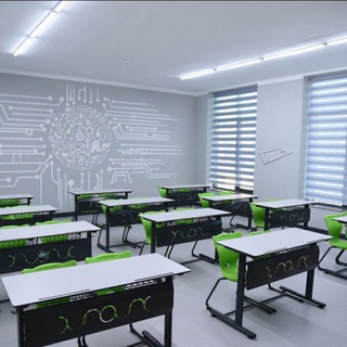 Dilnura/School_84