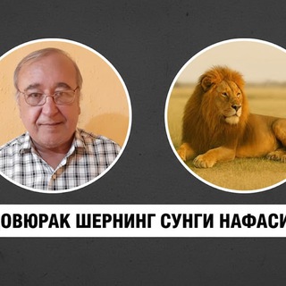 ДОВЮРАК: ШЕРНИНГ СЎНГГИ НАФАСИ