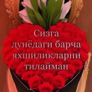 ҲАР СОҲАДАН БИР ШИНГИЛ