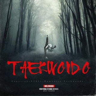 Taekwondo Wt
